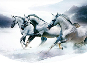 ʡ������ǰʮ��������ơ�ʩ��ʵ����ǰ